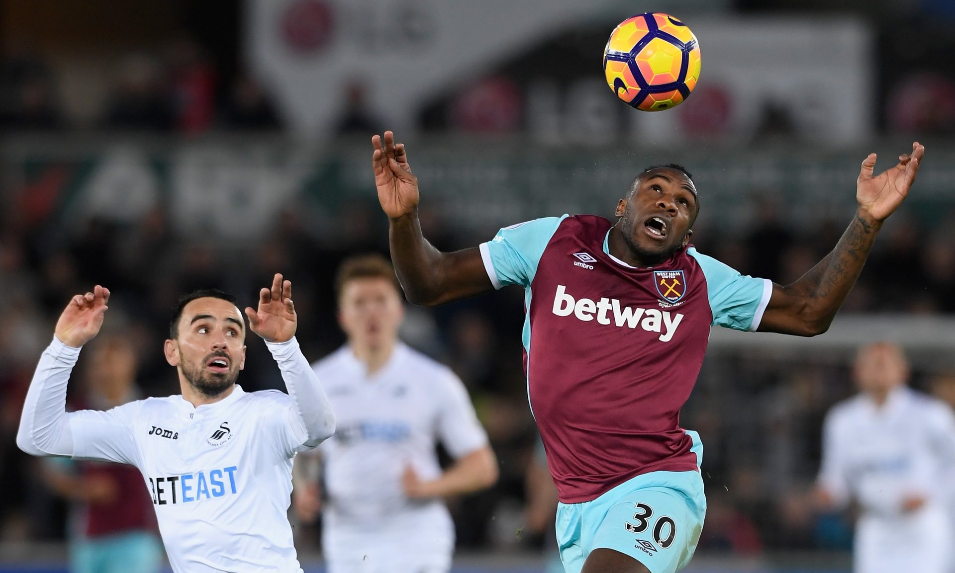 神的缩影 神的缩影